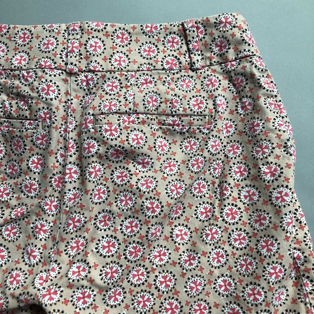 Loft Pattern Capri Pants 00p - image 5